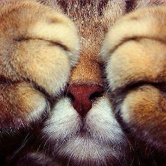 Илья Изумрудный, 02.12, Москва