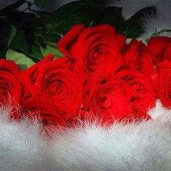 Бота Кашаганова, 04.03.1980, Алматы