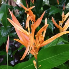 Moe Zatt, 15.07.2007