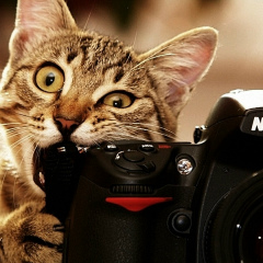 Анара Кубенова, 28.11.1987, Омск