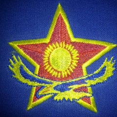 Шынгыс Битемиров, 12.12