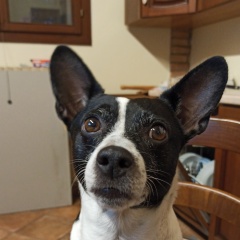 Roberto Bignardi, 20.10.1968, Modena