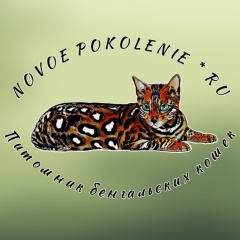 Наталья Погодина, 29.09, Москва