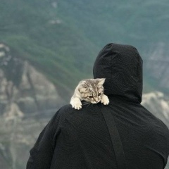 Немеляны Неме, 10.10.1986, Нальчик