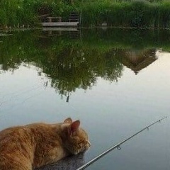 Роман Саркисов, 30.01.1980, Севастополь