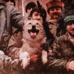 Murad Ramazanov, 21.06.1986, Москва