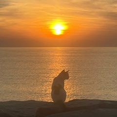 Степан Чернецкий, 29.07.1991, Beijing