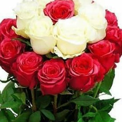 Катя Катя, 11.11.1984