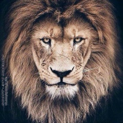 Еркебулан Мухамбетов, 04.12.1991