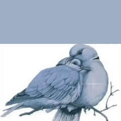 Neonila Melnichyk, 02.12, Ровно