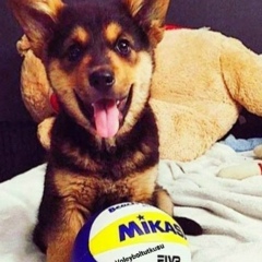 Yulia Chernenko, 23.12.1998, Кременчуг