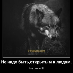 Анатолий Хван, Янгиюль