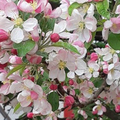 Екатерина Томина, 25.11, Санкт-Петербург