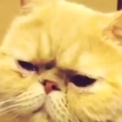 Ersultan Ermekov, 20.07, Павлодар