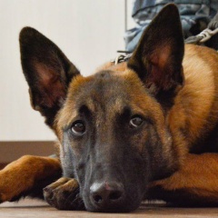 Иван Гилёв, 11.01.1983, Санкт-Петербург