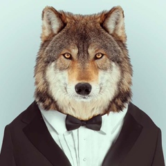 Александр Кулиев, 13.11, Баку