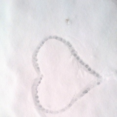 Алымбек Искендеров, Джалал-Абад