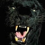 Aftandil Sukurov, Мингечевир