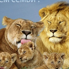 Ihtiyar Kuanov, 30.10.1986, Алматы