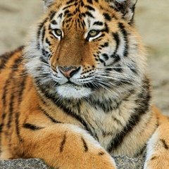 Azat Ramazanov, 19.07.1995, Петропавловск