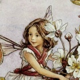 Алла Верес, 31.10, Киев