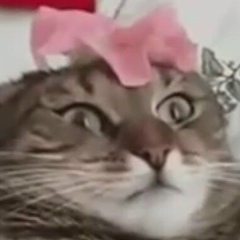 Вадим Олегович, 28.06