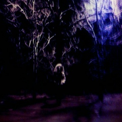 Кристина Коргоруша, 15.07.1989, Санкт-Петербург