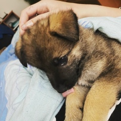 Вика Миронова, 13.02