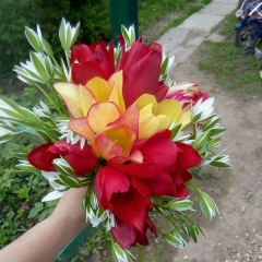 Олеся Подрябинкина, 15.08, Руза