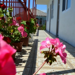 Артур Джувеликян, 29.12, Краснодар