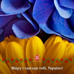 Tatyana Shihadeh, 05.11, Киев