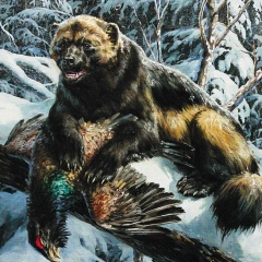 Димон Брынцев, 01.02.1988, Москва