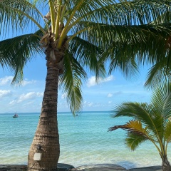 Игорь Ермош, Красноярск