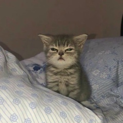 Мария Коралинова, 02.05.1999