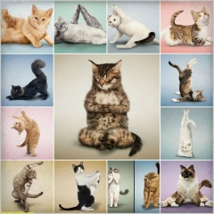 Оксана Игоревна, 24.03, Москва