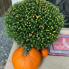 Юлия Ендалова, 01.06.1984, Уфа