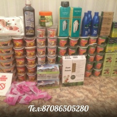 Saiba Musil, 25.05.2000, Жанаозен