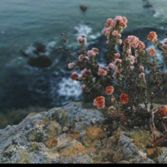 Ксюша Рудик, 07.12, Киев