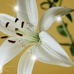 Лилия Янчурина, 12.01