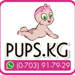 Pups Kg, Бишкек