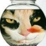 Илья Васютин, 18.02.1996, Москва