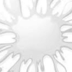 Tun Lwin, 24.10.1970