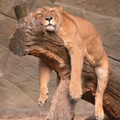 Ира Зимноха, 12.08.1987, Минск