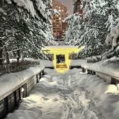 Ксения Фамилия, 09.05.1982, Москва