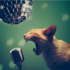 Евгения Грязнова, 11.11.1980