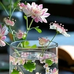 Екатерина Ярышева