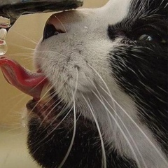 Максим Строев, 04.10, Харьков