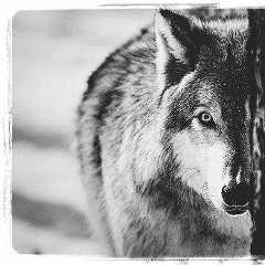 Александр Петров, 08.08.1999, Грозный