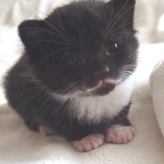 Эльмира Хабибуллина, 08.09.1991, Казань