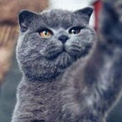 Никита Миткин, 12.09.1988, Караганда